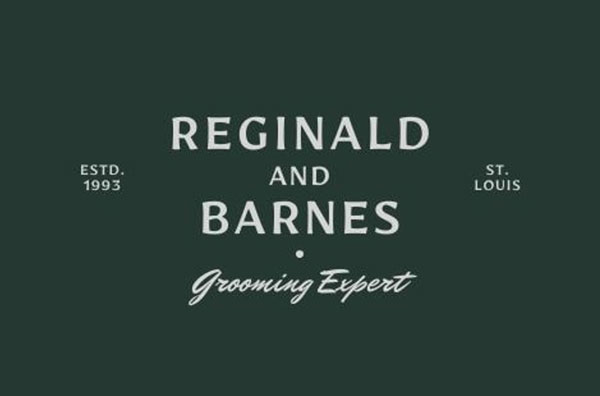 Green and Gray Grooming Expert Vintage Logo